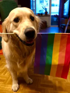 Oulu Pride valmistautuu vuoden 2025 tapahtumiin